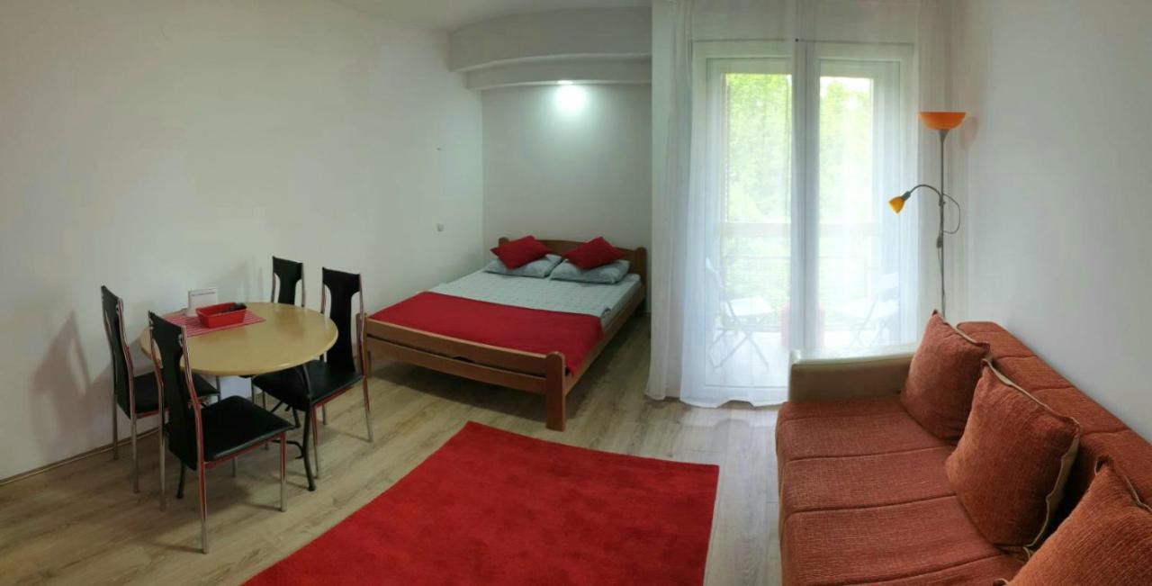 Apartman 4 - Studio Janja Soko Banja Exterior photo
